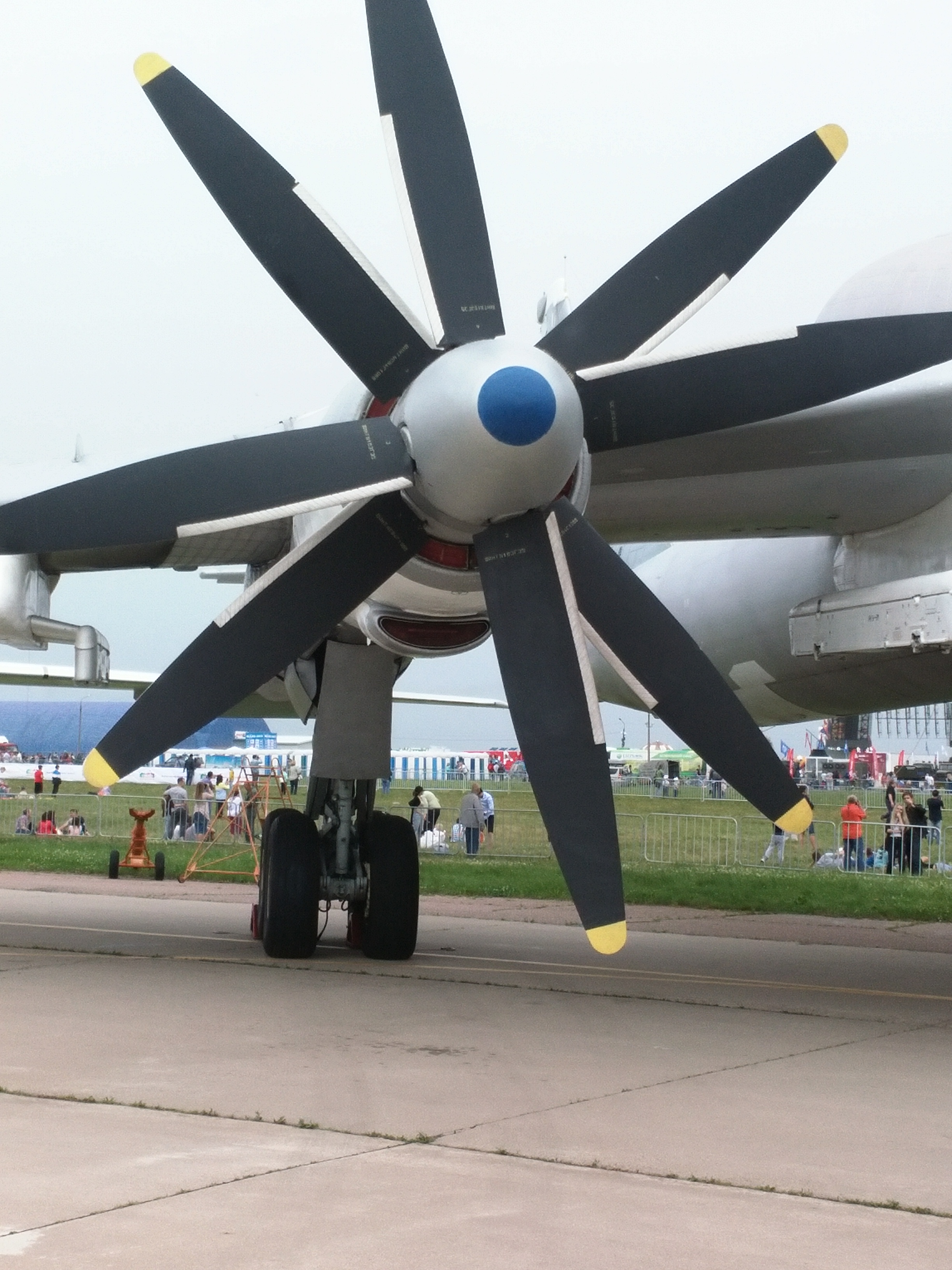 Tu-95 Blades