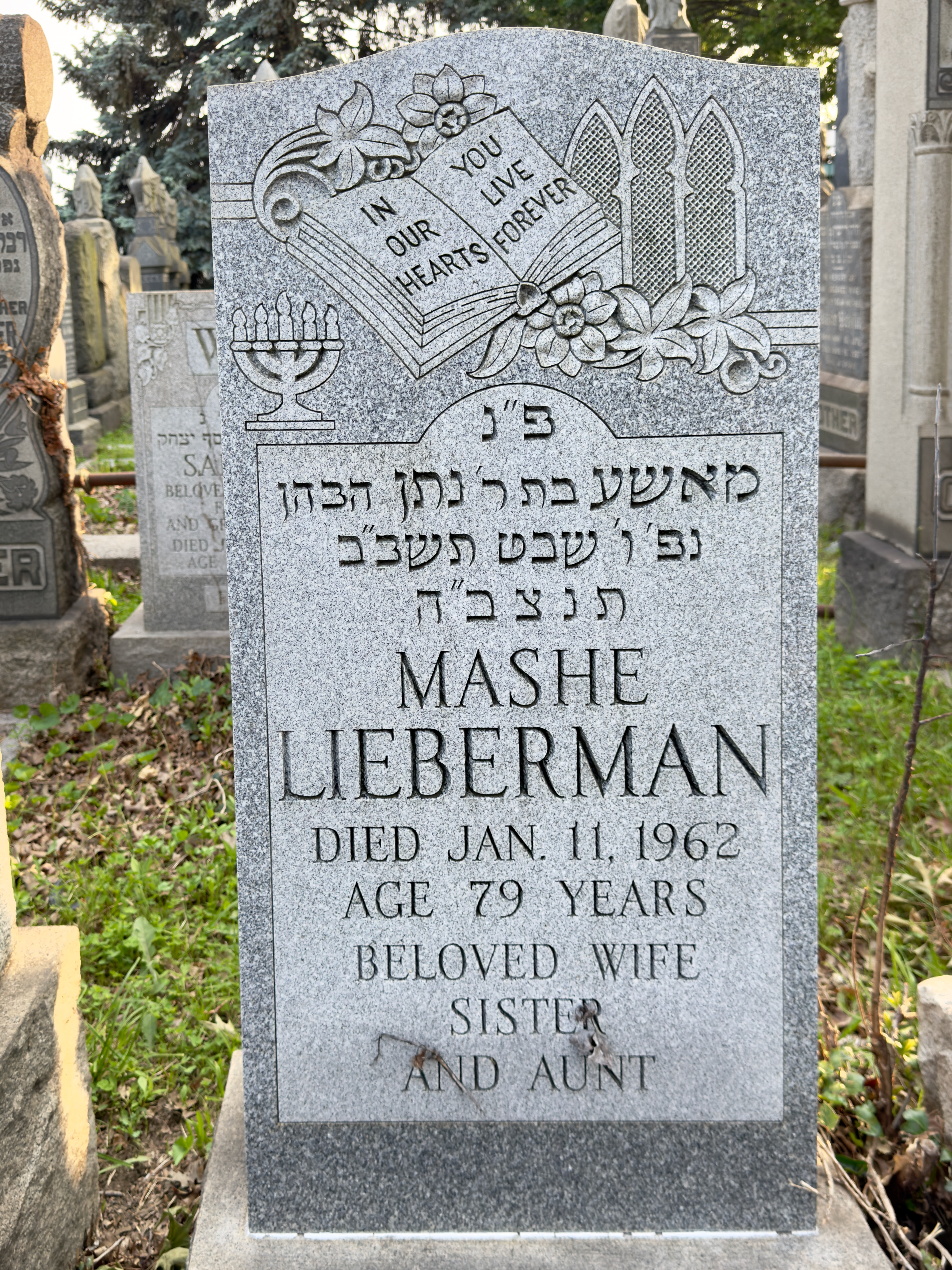 Washington Cemetery (Brooklyn) - 262