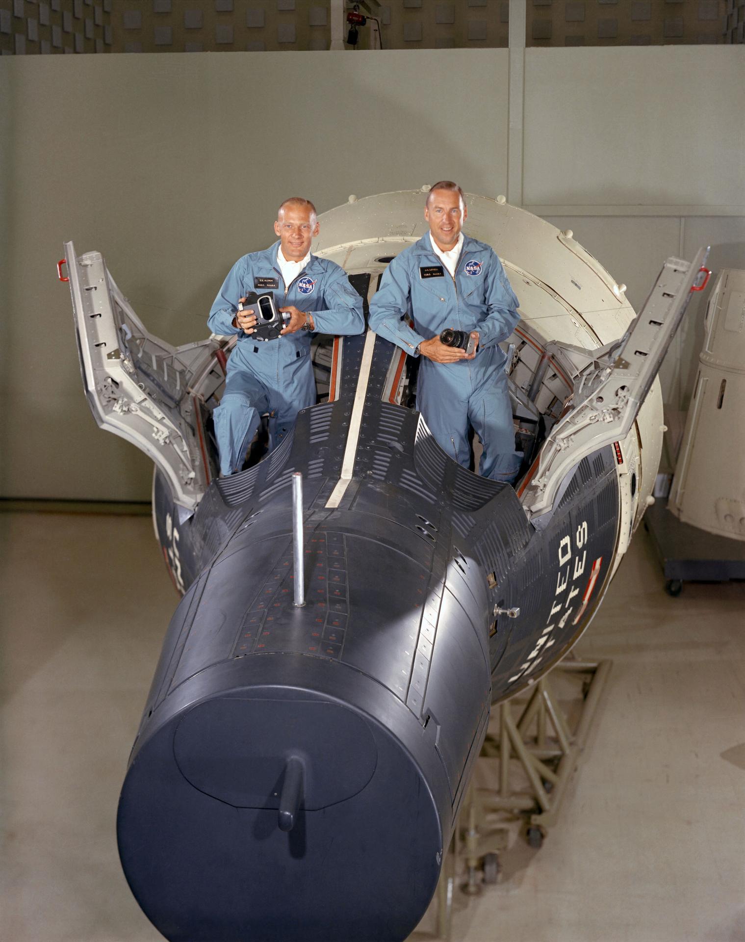 Project Gemini
