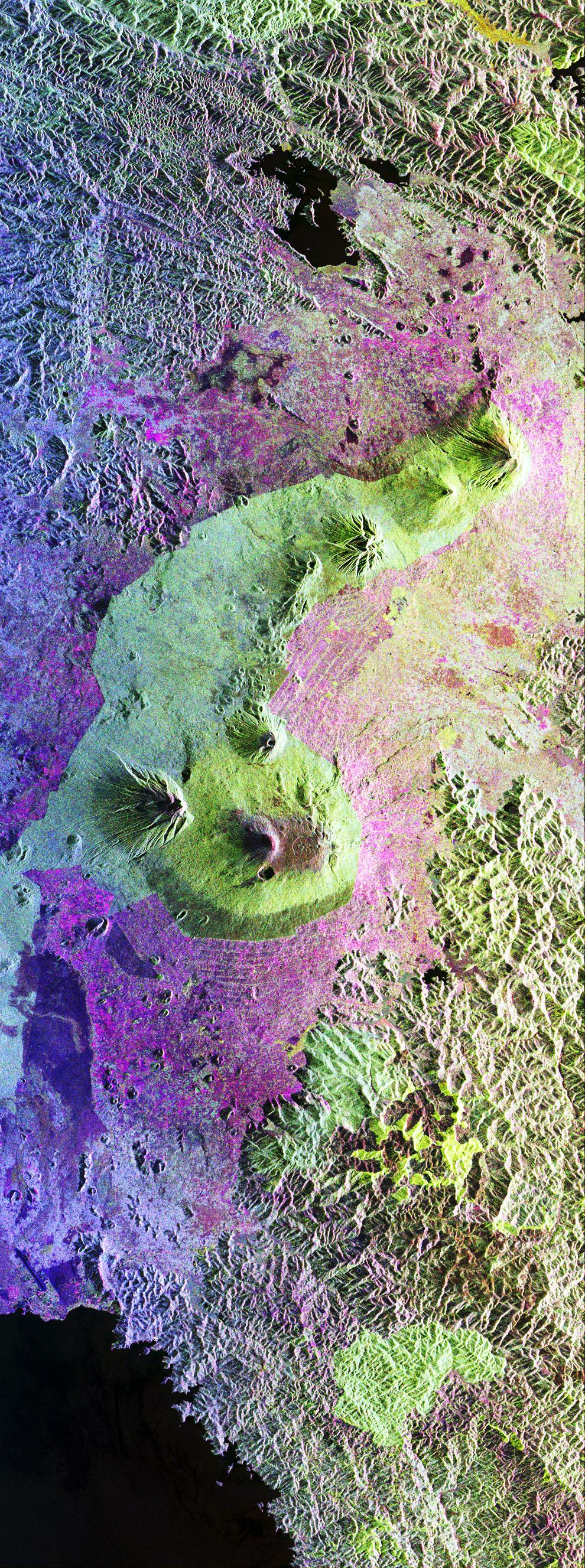 Immagine radar spaziale dell'habitat del gorilla dell'Africa centrale