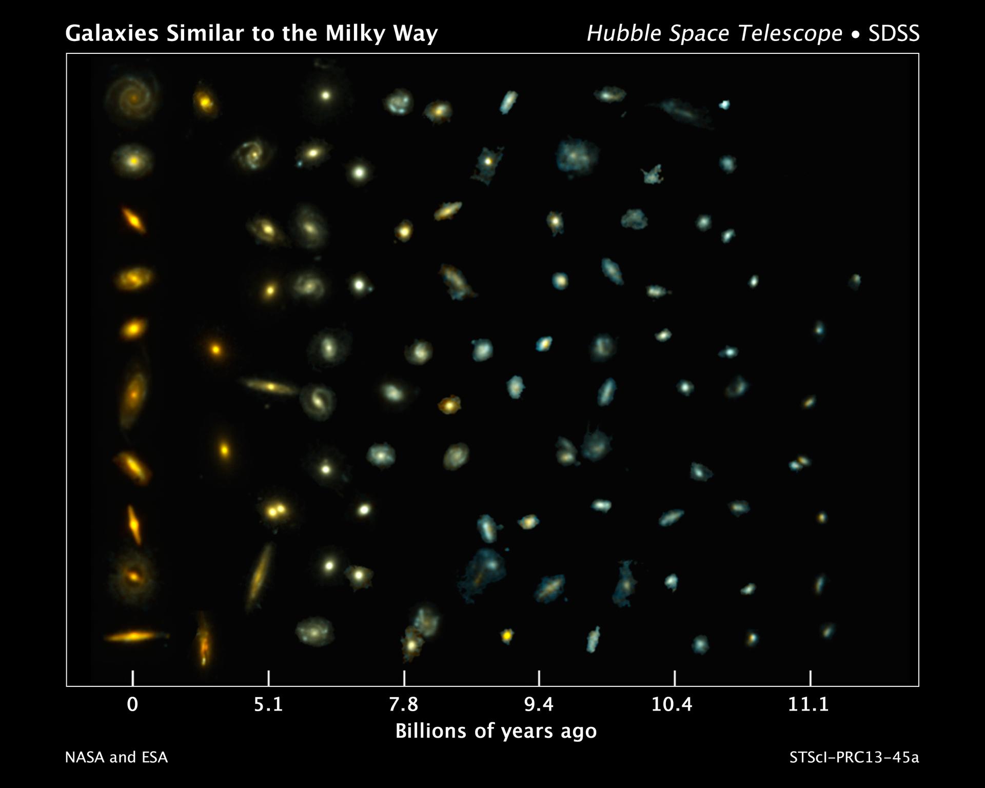 Tracing the growth of Milky Way like galaxies